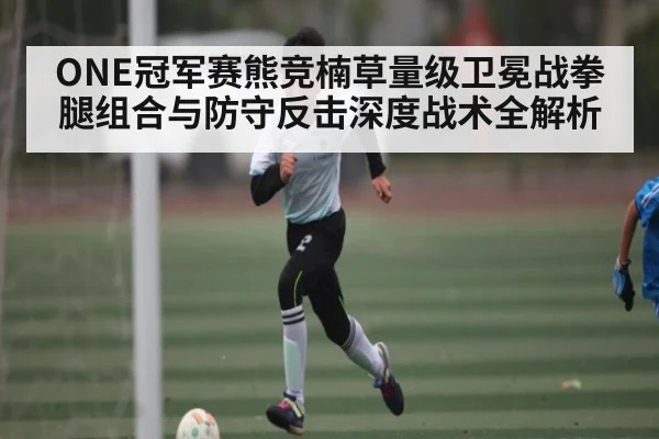ONE冠军赛熊竞楠草量级卫冕战拳腿组合与防守反击深度战术全解析
